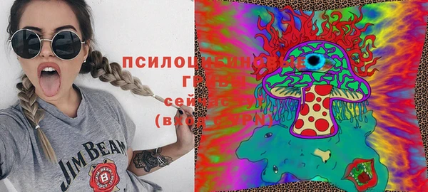 кокс Инта