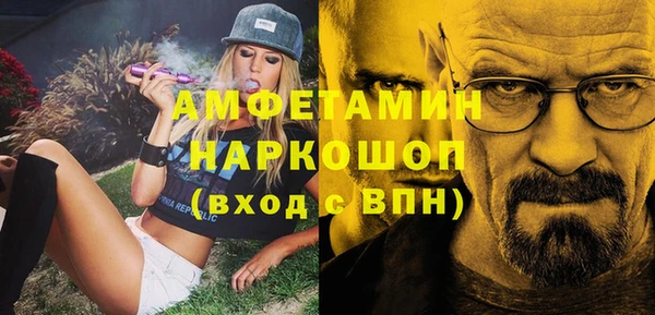 сатива Инсар