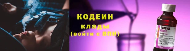 кокс Инта