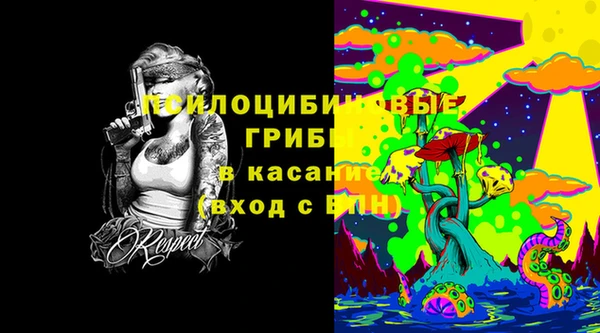 сатива Инсар