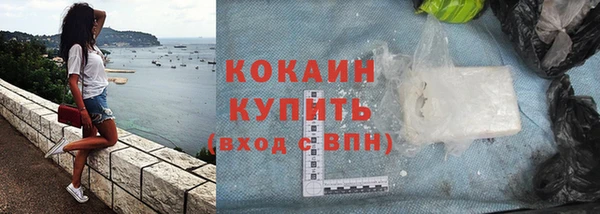 сатива Инсар